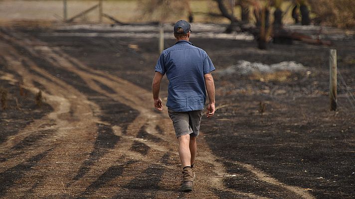 Telediario 1 - Los incendios en Australia remiten tras las lluvias pero quedan setenta focos activos