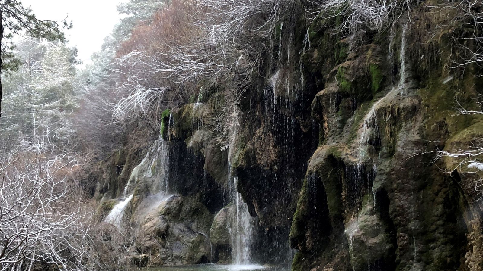 Telediario - 8 horas - 20/01/20 - ver ahora
