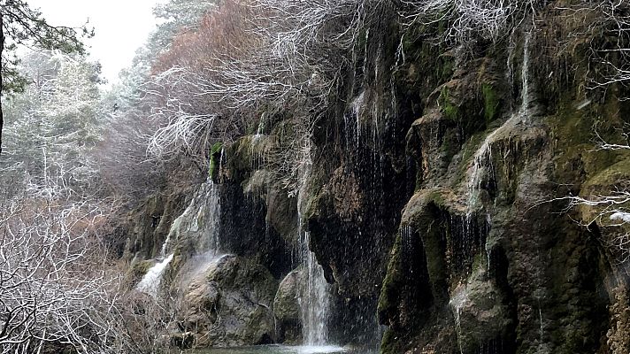 Telediario 1 - Telediario - 8 horas - 20/01/20