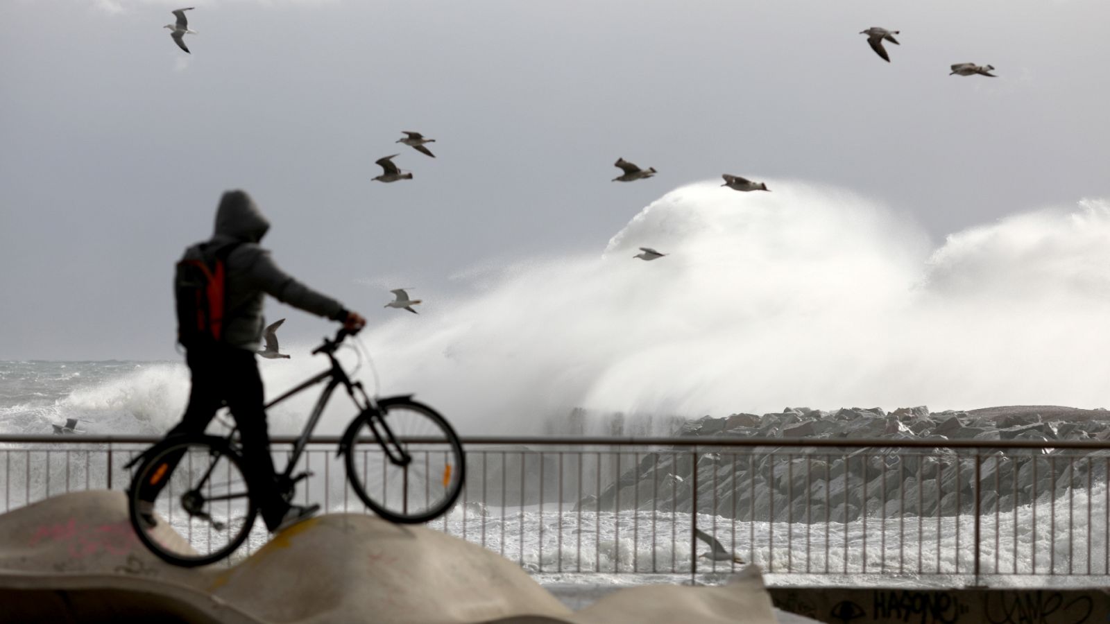 La tarde en 24 horas - 20/01/20 (1) - ver ahora