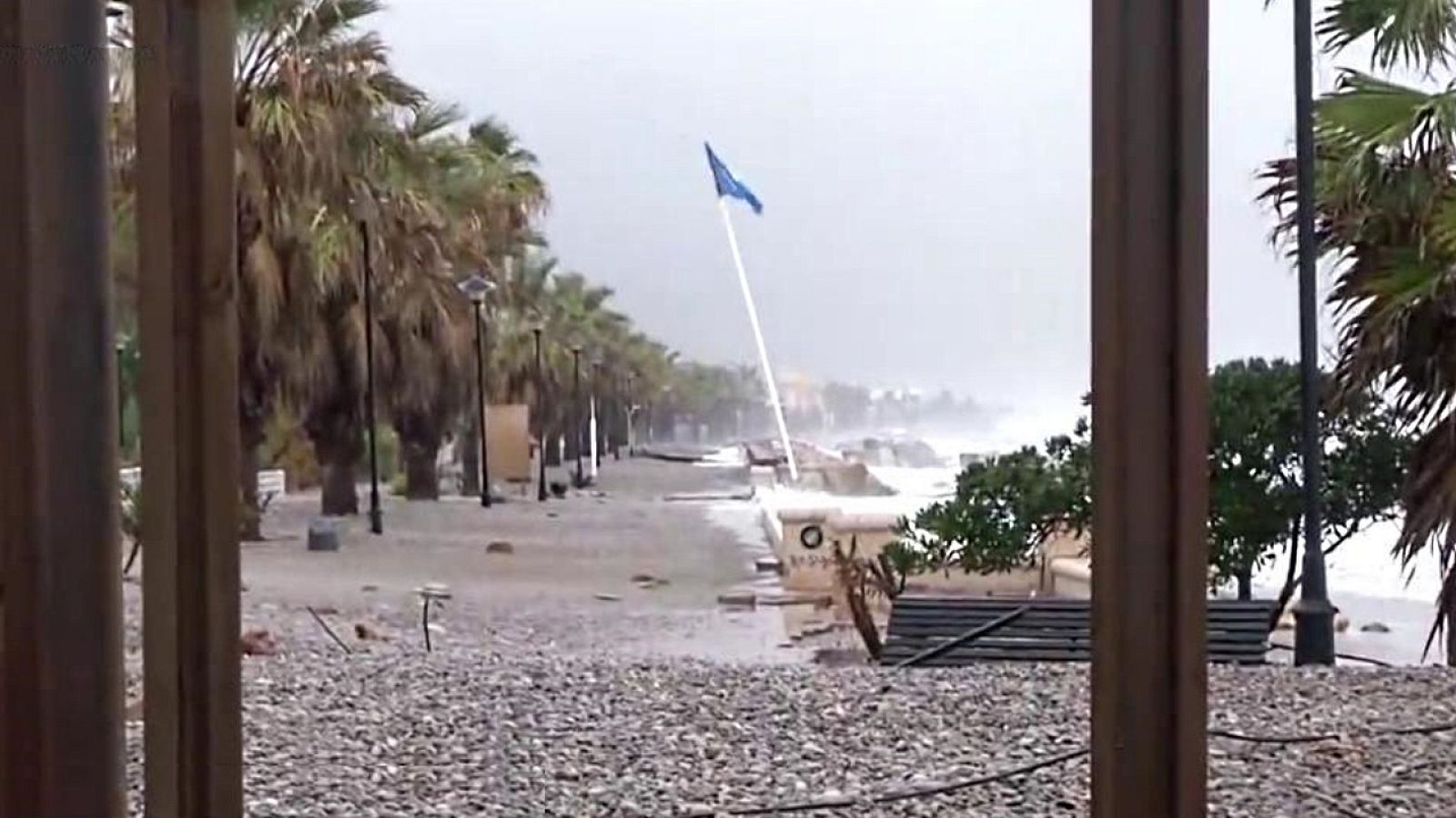 La Mañana - 21/01/20 - ver ahora