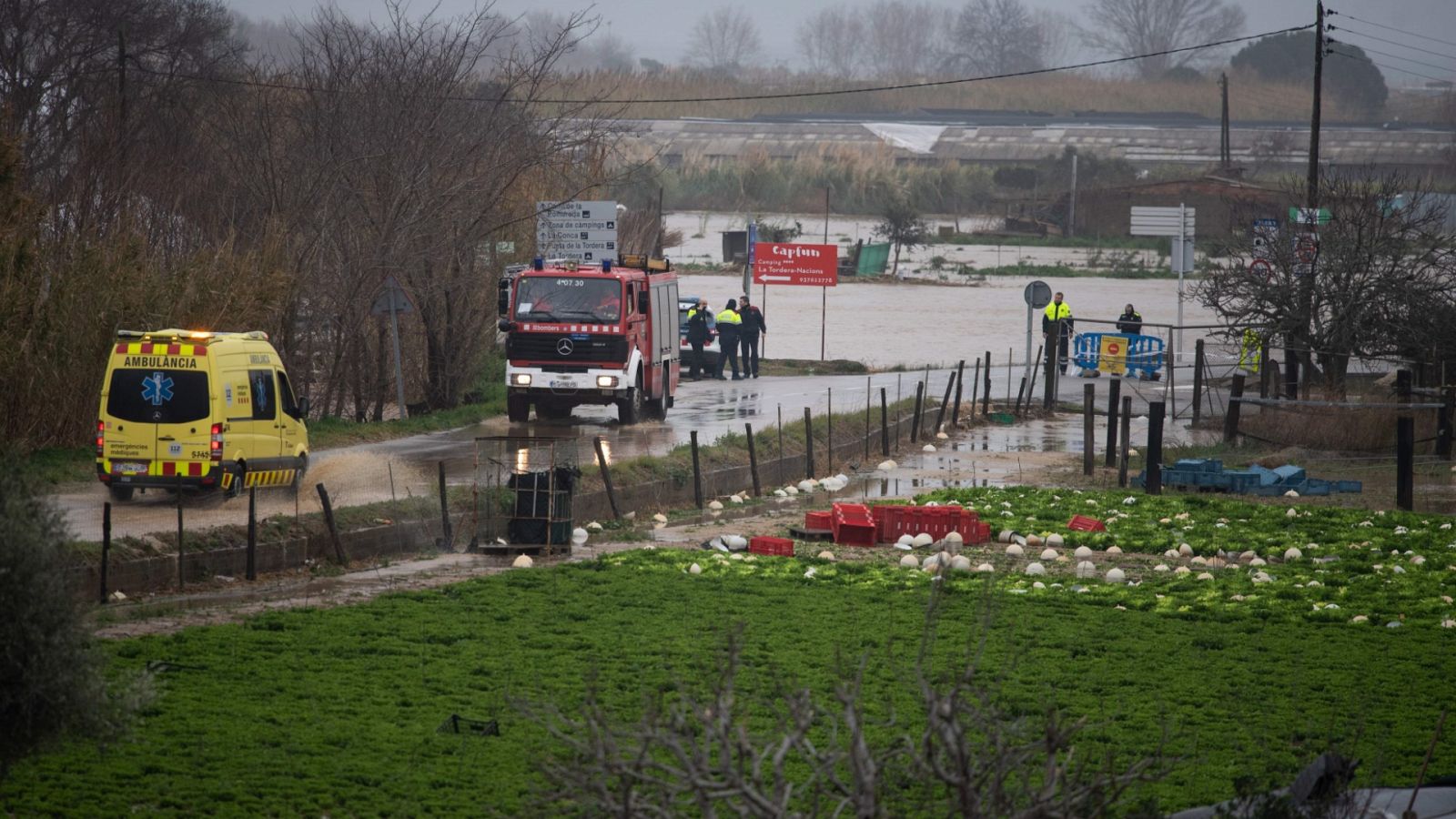 Diario 24 - 22/01/20 (1) - ver ahora