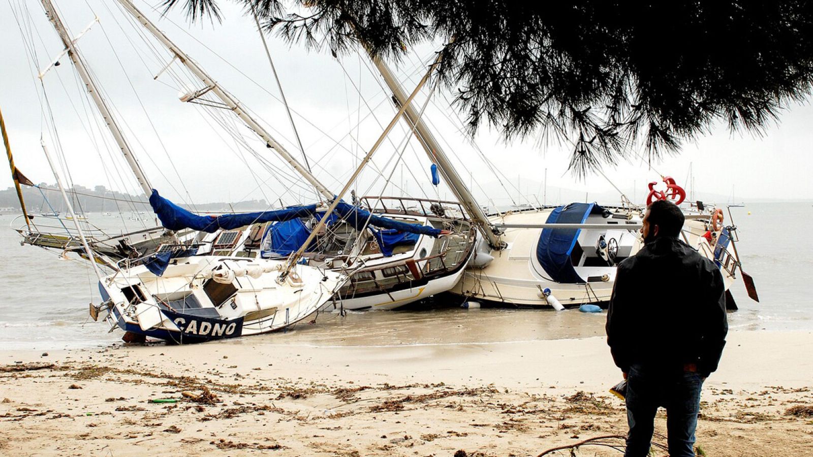 Telediario Matinal en Cuatro Minutos 23/01/2020 - Ver ahora