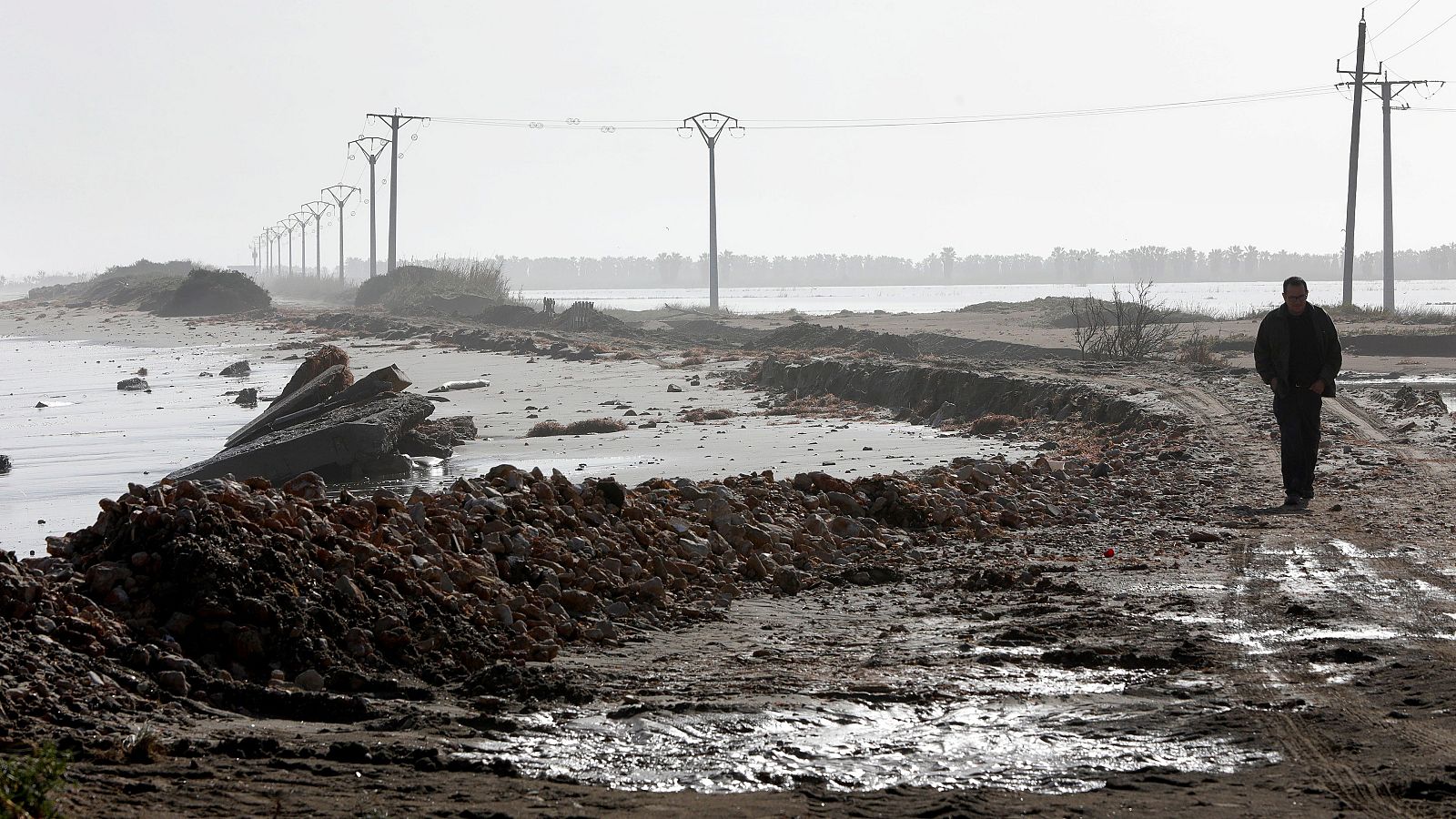 Un panorama desolador que tardará mucho tiempo en recuperarse. Arroceros y pescadores ven con preocupación el futuro, reclaman soluciones, incluidas medidas estructurales. El temporal ha dejado en evidencia la fragilidad del delta del Ebro. Varios mu