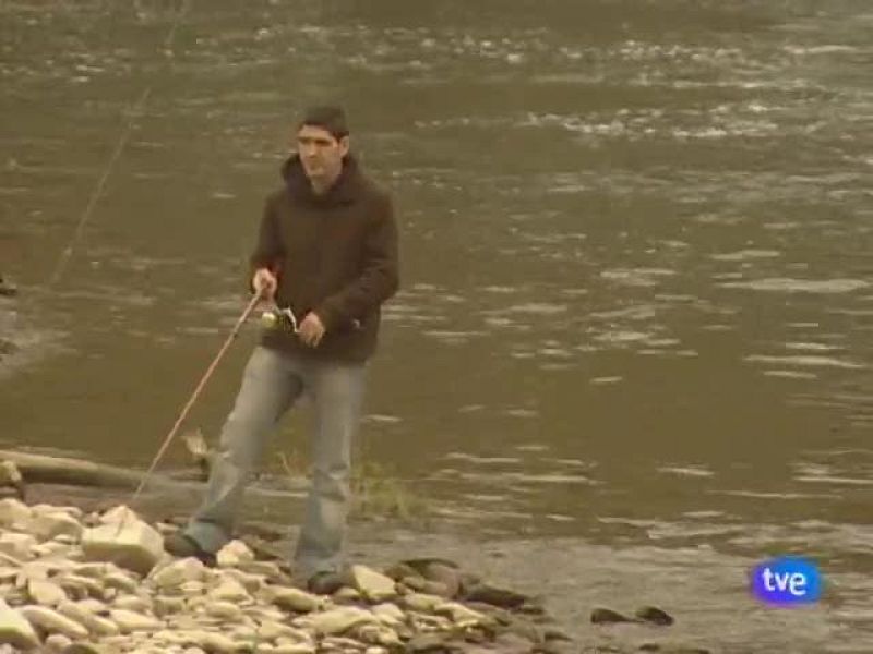 Telenavarra. Informativo territorial de Navarra. (22/07/09)