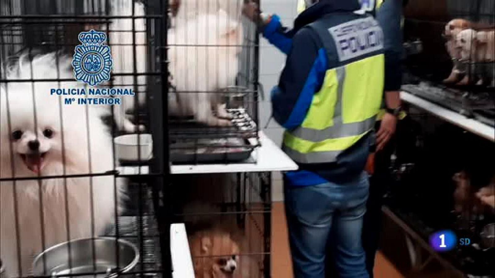 Informativo de Madrid 2 - 23/01/20 - Ver ahora