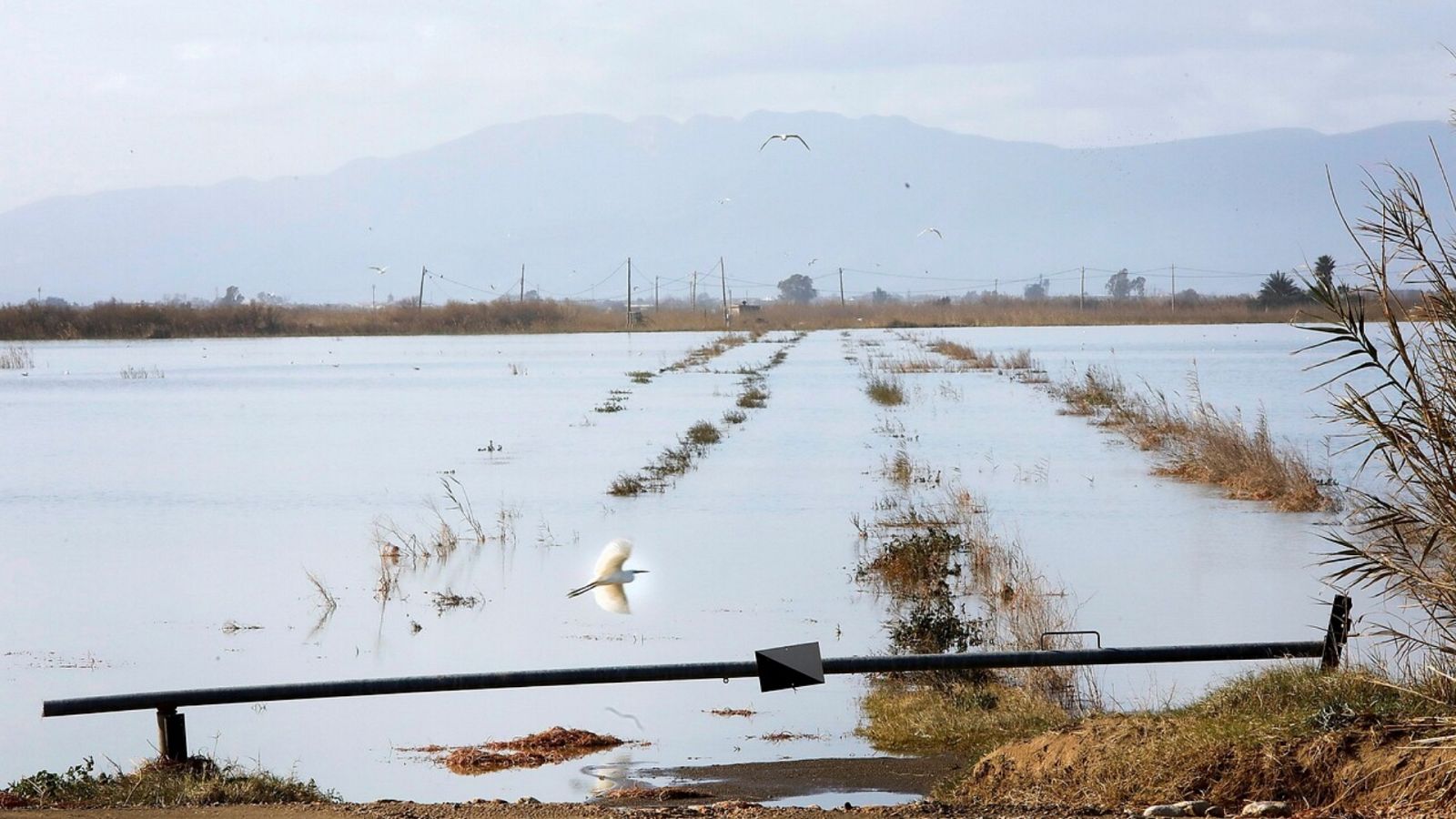 La tarde en 24 horas - 23/01/20 (1) - ver ahora