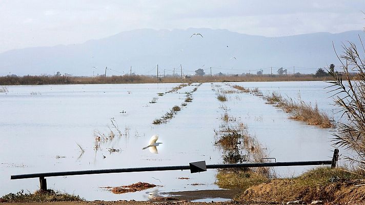 La tarde en 24h - La tarde en 24 horas - 23/01/20 (1)