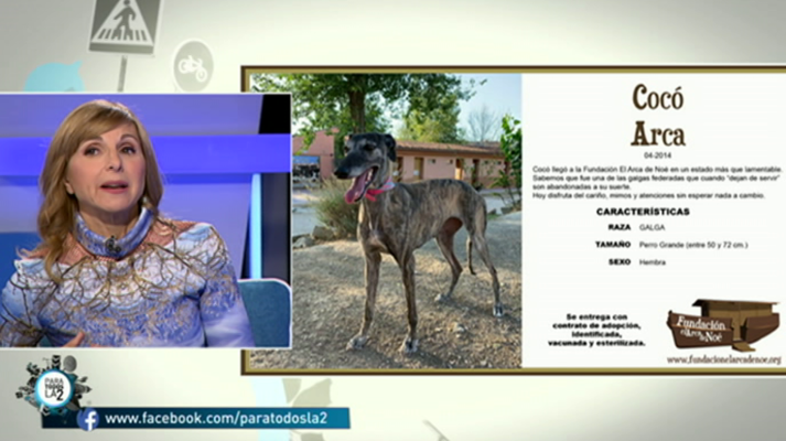 Para todos La 2 - Para todos La 2 - 18/01/20 - Lengua de signos