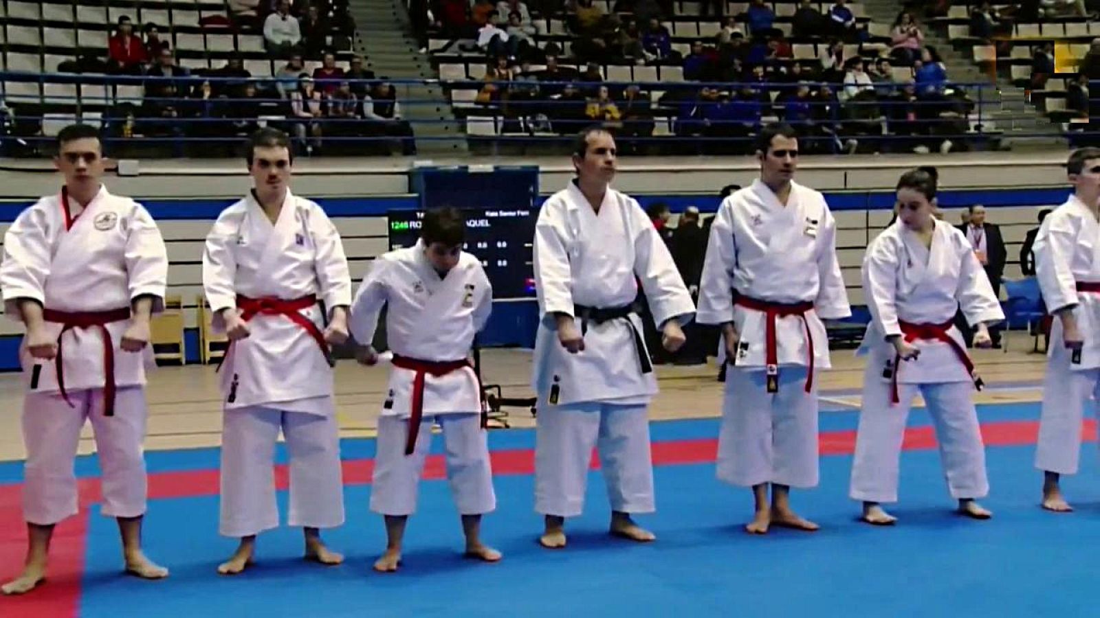 Kárate - Campeonato de España absoluto. Resumen - ver ahora