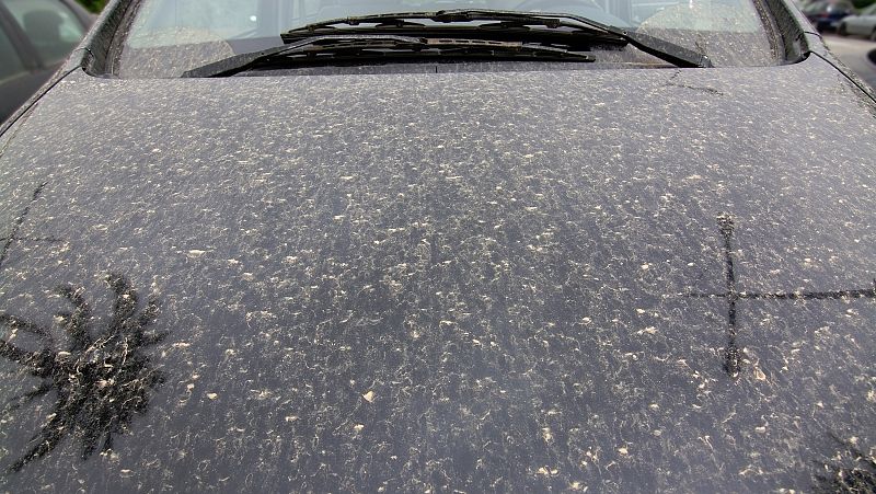 Murcia ha decretado este viernes la alerta por contaminación en su capital y también en Cartagena, por la entrada de polvo sahariano, una consecuencia indirecta de la borrasca Gloria. Hay restricciones al tráfico y el transporte público es gratuito.