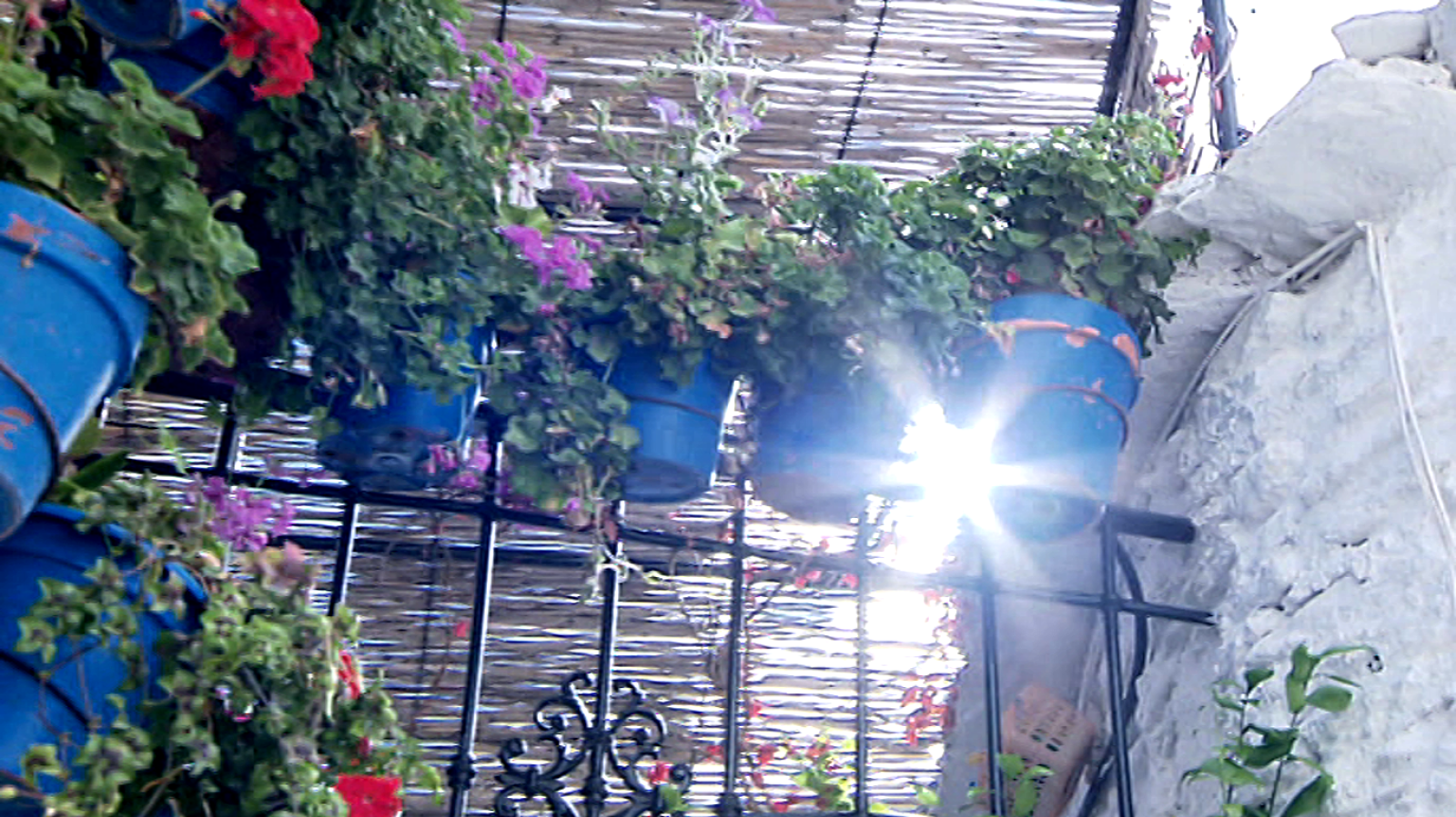 Zoom Tendencias - El México auténtico conquista nuestro país - ver ahora