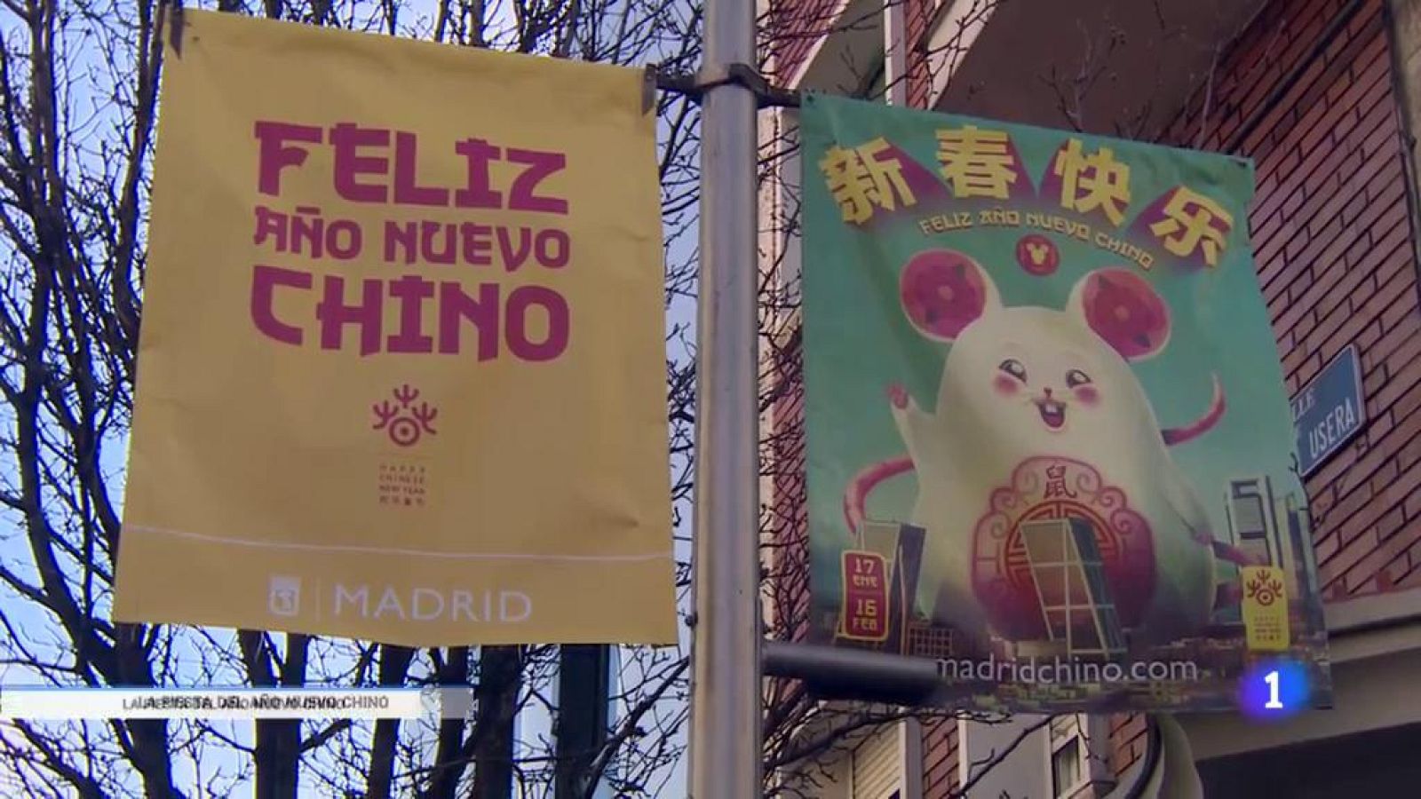 Se celebra el año nuevo chino