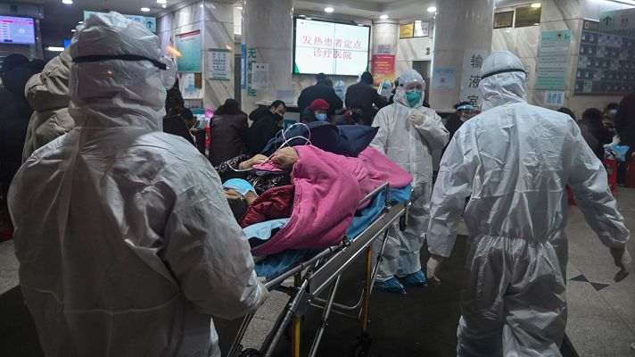 Telediario 1 - Las fábricas chinas no consiguen satisfacer la demanda de monos bacteriológicos