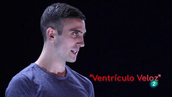 La aventura del Saber - Ventrículo Veloz. Teatro dirigido al público juvenil