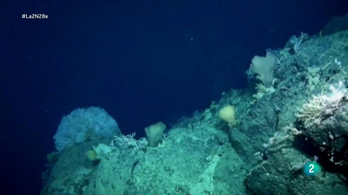 La 2 Noticias - El problema de las aguas saharauis