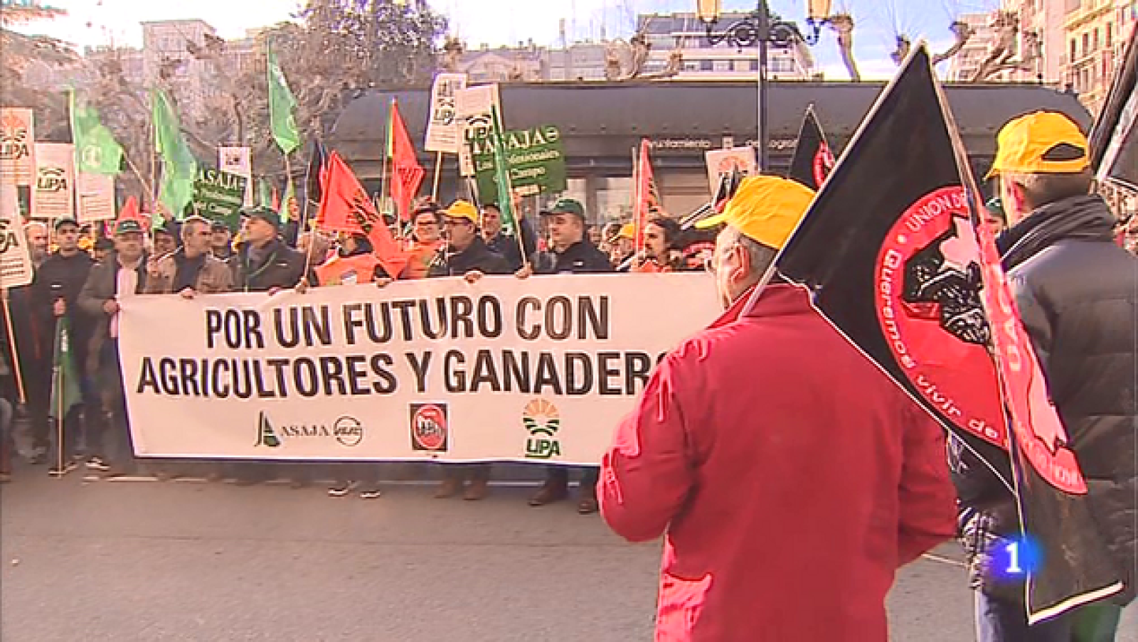 Informativo Telerioja 2 - 29/01/20