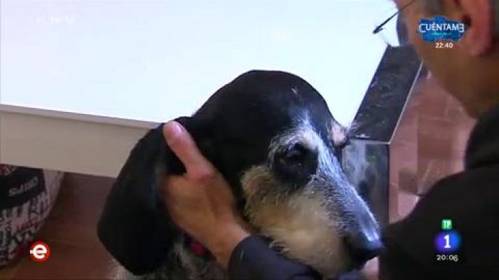 España Directo - Perro al rescate