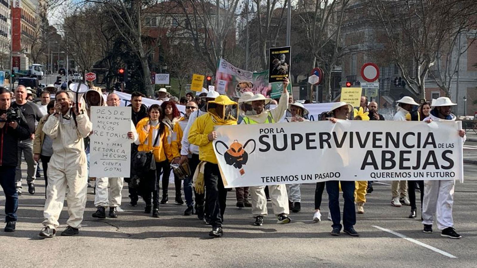 El precio de la miel no cubre los costes de producción