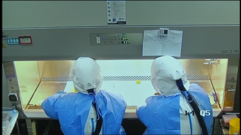 Telecanarias 2 - 31/01/2020