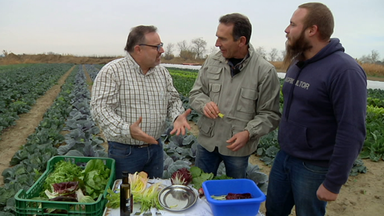 Aquí la Tierra - 02/02/20 - ver ahora