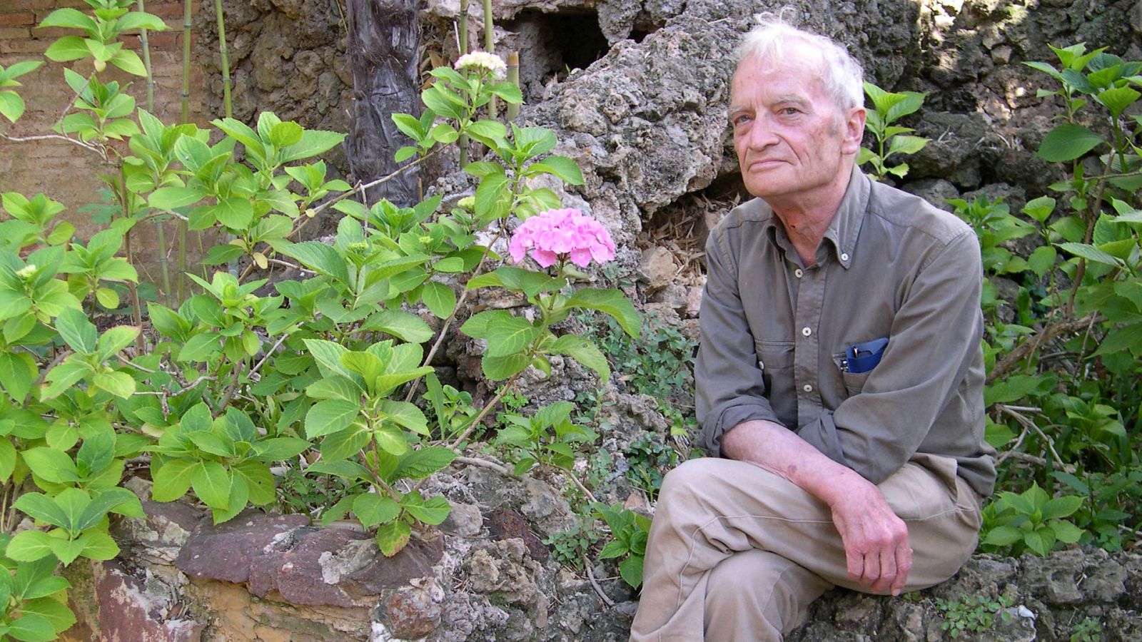 Imprescindibles - Luis Goytisolo. Antagonías - ver ahora