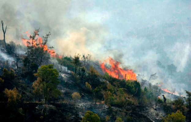 Telediario 1 - Telediario en 4' - 23/07/09