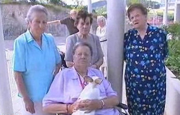 España Directo - Un conejo en la residencia