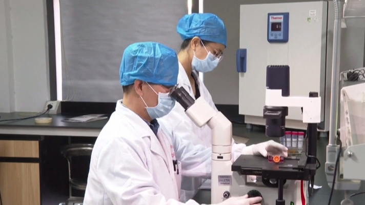 Telediario 1 - Virólogos de todo el mundo se reunen por el coronavirus