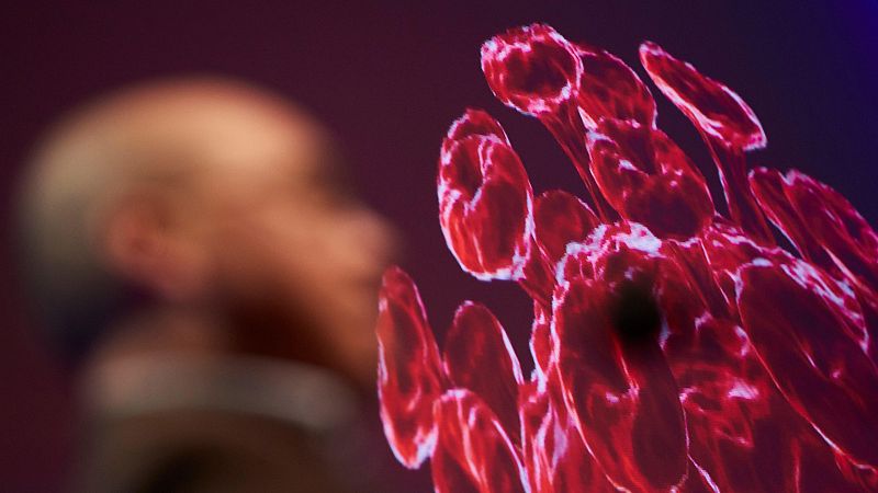 El coronavirus altera el calendario deportivo mundial | Ver