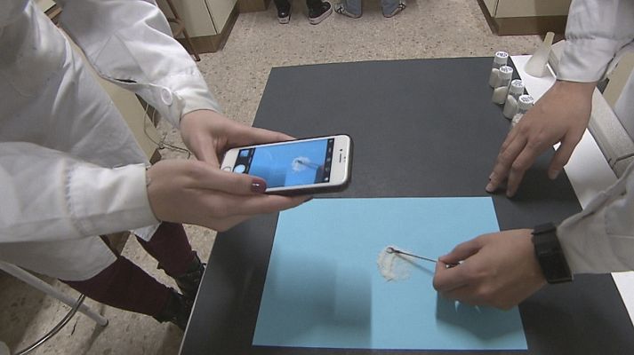 Comando Actualidad - Fotos hechas con móviles para detectar fraudes alimenticios