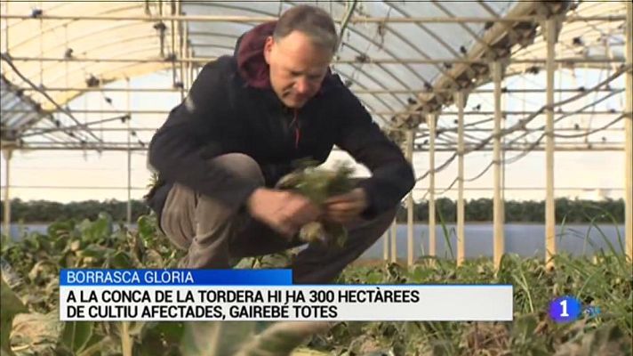 L'Informatiu - L'Informatiu -  06/02/2020