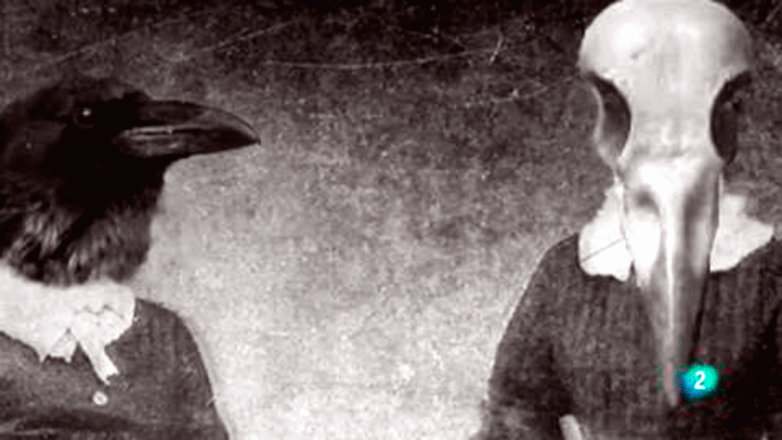 Boek visual: Lola González Poesía Visual La aventura del saber