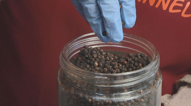 Aquí la tierra - Las especias en el mundo y el mundo en las especias