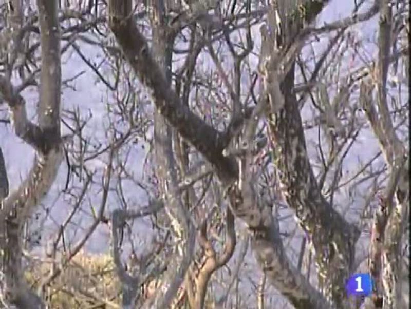 Noticias Aragón - 24/07/09 - Noticias Aragón | Ver