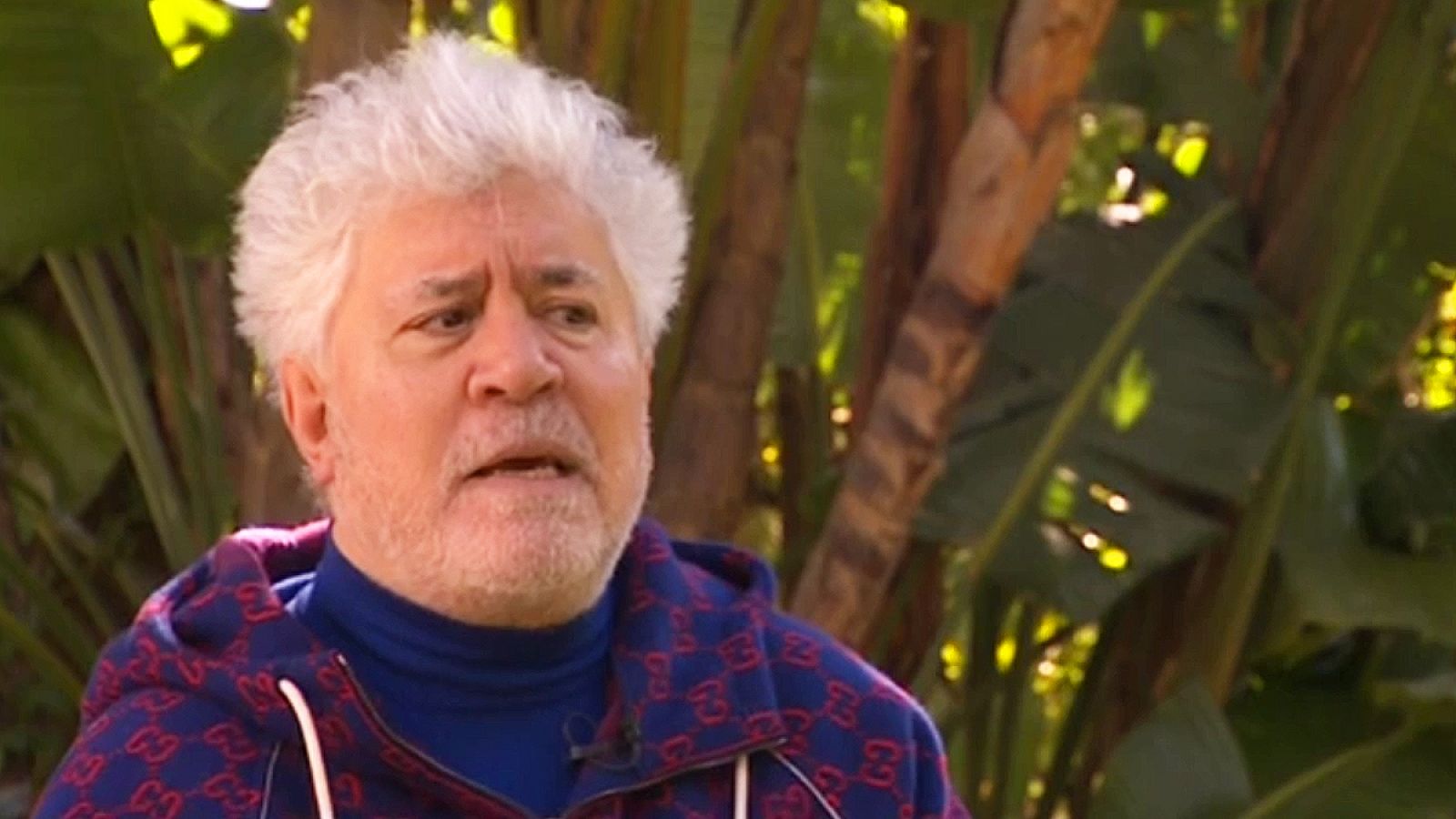 Pedro Almodóvar: "'Parásitos' es la clara favorita, pero la esperanza no se pierde nunca" - Informativo 24h | Ver