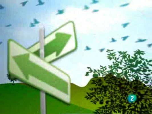 Actívate. El reto del bienestar - Actívate - El reto del bienestar - 24/07/09