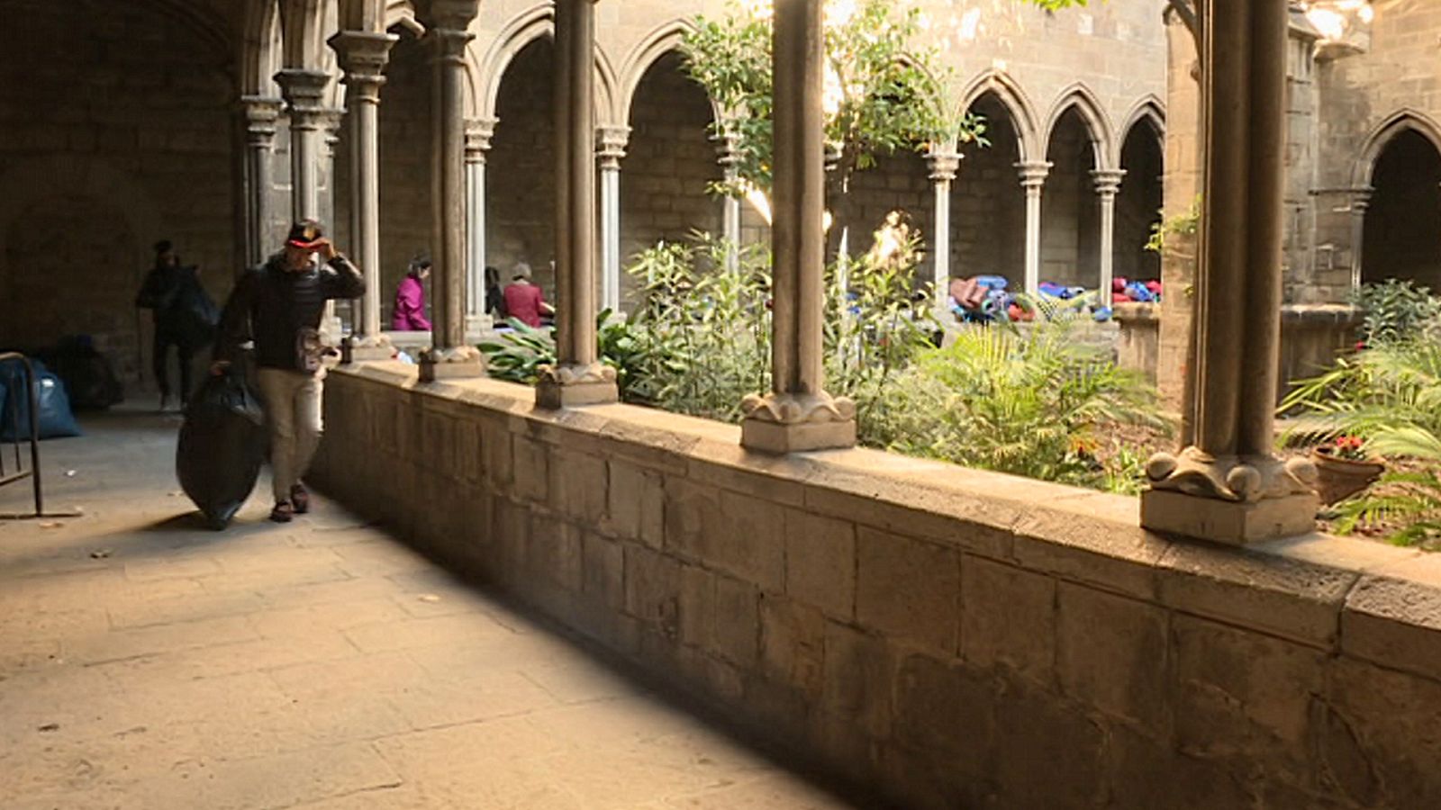 Repor - Hospital de campaña  - ver ahora