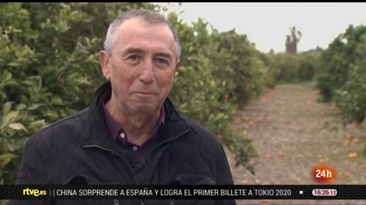 Parlamento - Joan Baldoví, diputado de Compromís