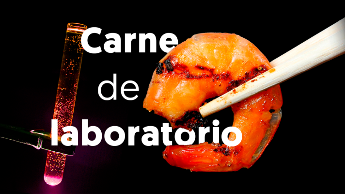Modo Digital - Crean camarones de laboratorio aptos para el consumo humano