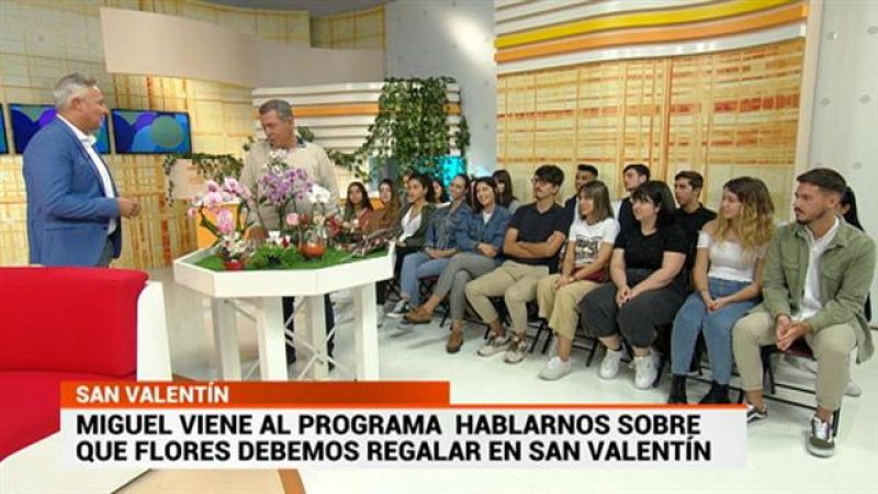 Cerca de ti - 11/02/2020