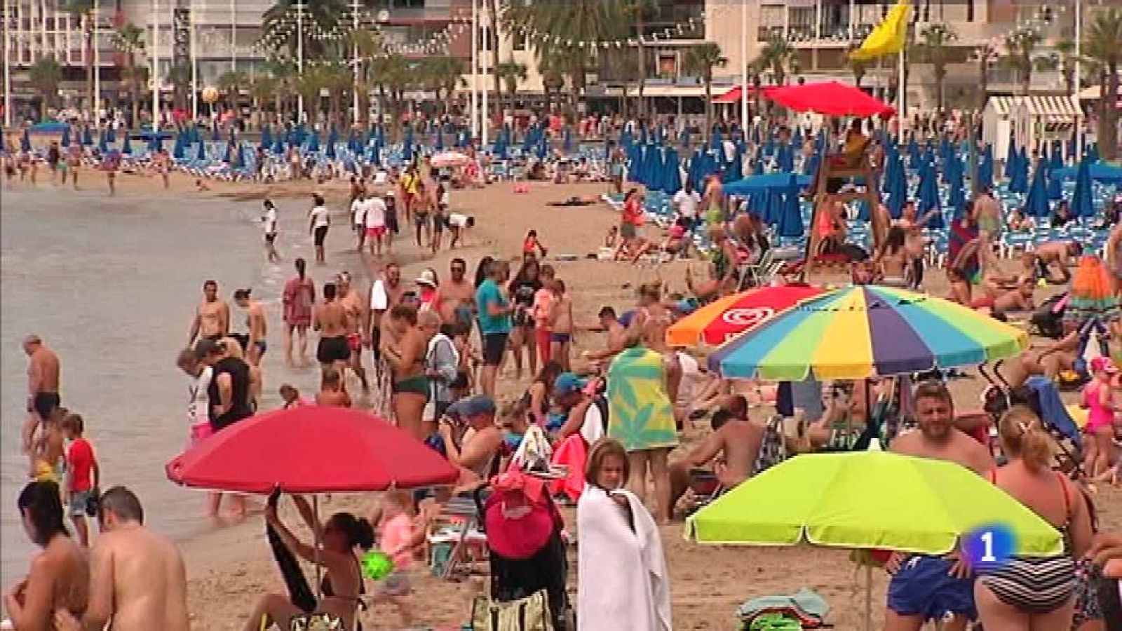 L'Informatiu - Comunitat Valenciana 2 - 13/02/20 - ver ahora