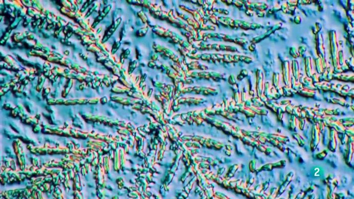 La aventura del Saber - Boek visual: Sasha R. Gregor