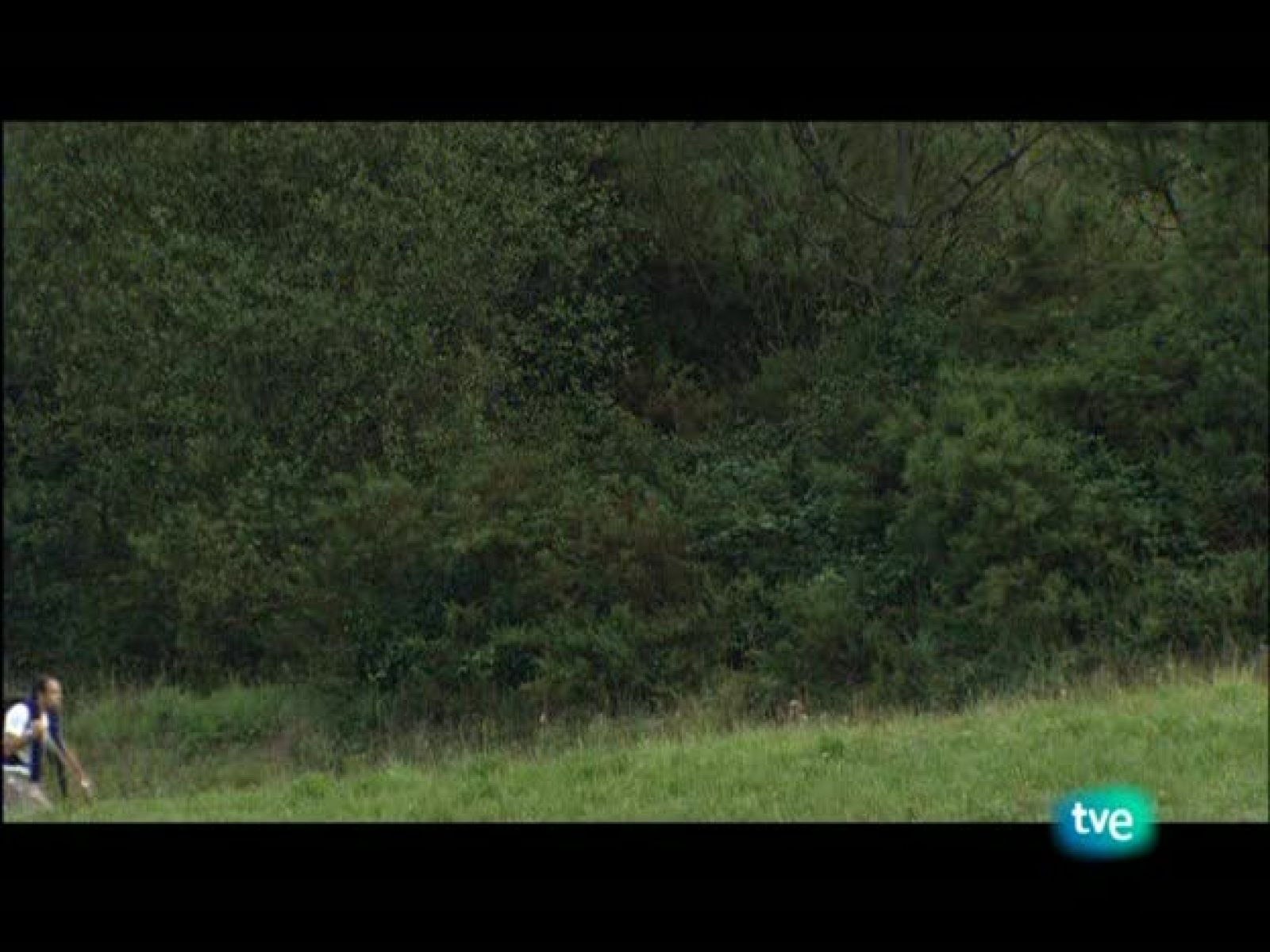 Nuestros caminos a Santiago - Camino francés 3 - Nuestros caminos a Santiago | Ver