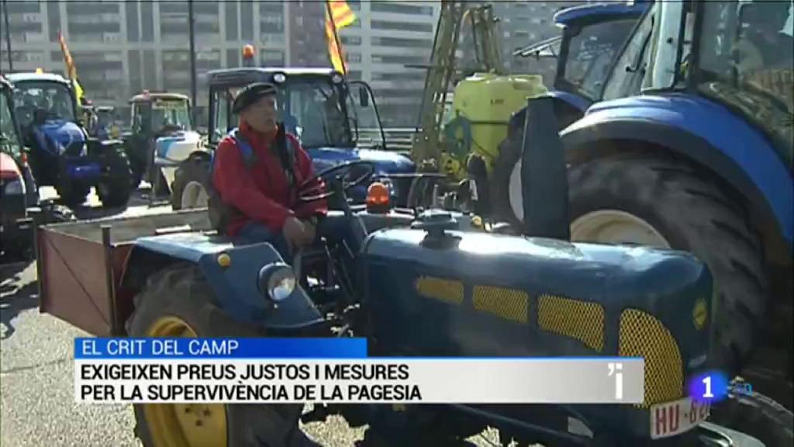 L'Informatiu en 3' - 14/02/2020