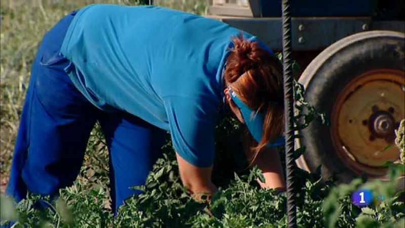 Informativo de Madrid - 14/02/20 ¿ ver ahora