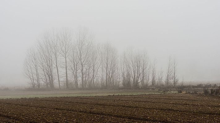 El tiempo - Cielos poco nubosos con bancos de niebla matinales