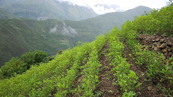 Informe Semanal - El lado oscuro del Macizo