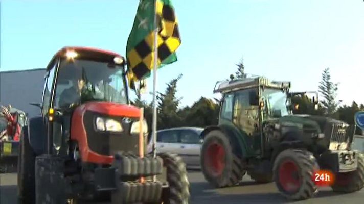 Vespre 24 - Vespre 24 - 14/02/2020