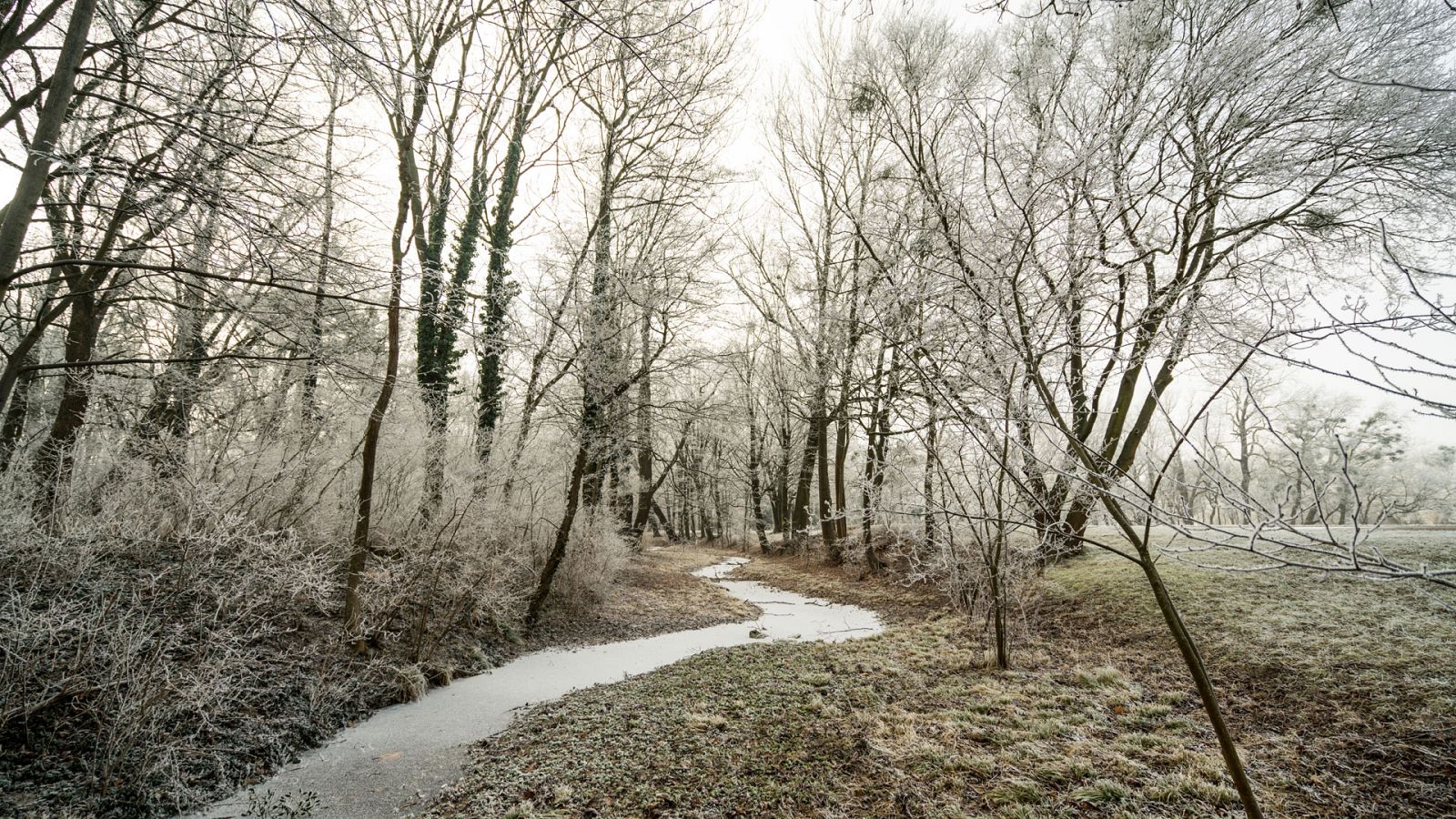 Cielo poco nuboso o despejado y heladas en zonas altas de la mitad norte - Ver ahora